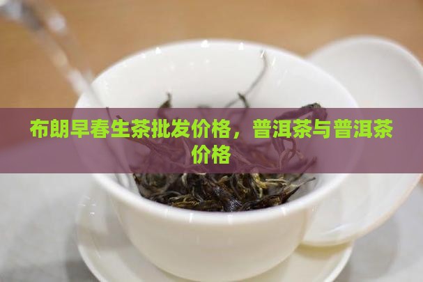 布朗山早春普洱茶价格