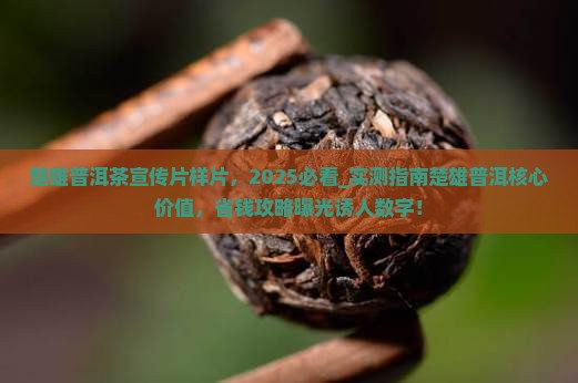 楚雄普洱茶宣传片样片