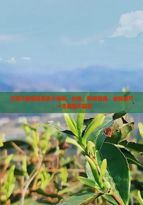 今润天香普洱茶多少钱啊