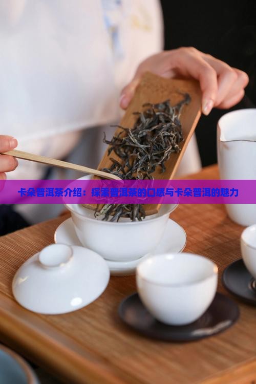 卡朵普洱茶介绍