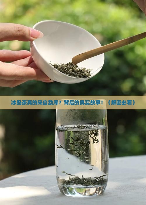 冰岛属于勐库茶区
