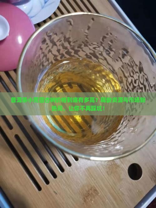 普洱茶小荒田古树价格