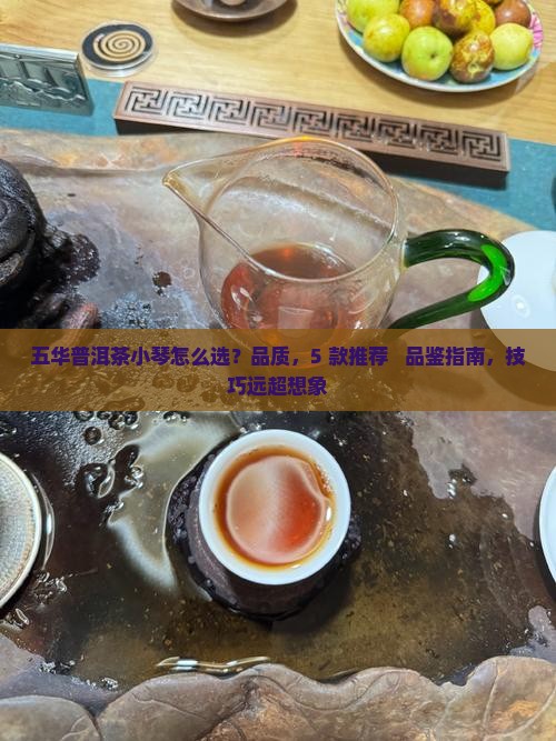 五华普洱茶小琴