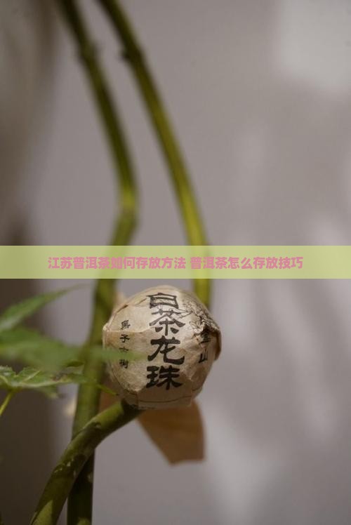 江苏普洱茶怎么存放