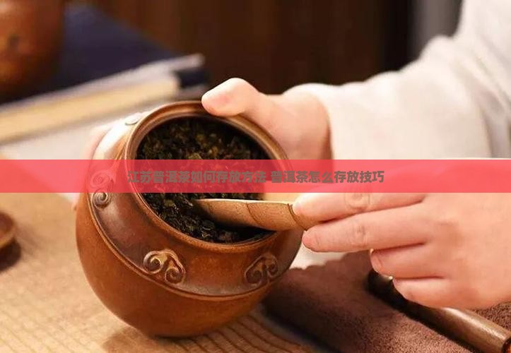 江苏普洱茶怎么存放