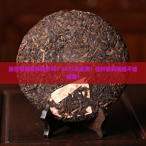 廖氏普洱茶真的吗好喝吗
