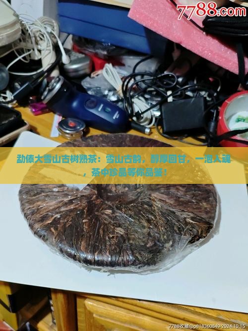 勐傣大雪山古树熟茶