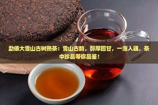 勐傣大雪山古树熟茶