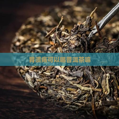 胃溃疡可以喝普洱茶嘛