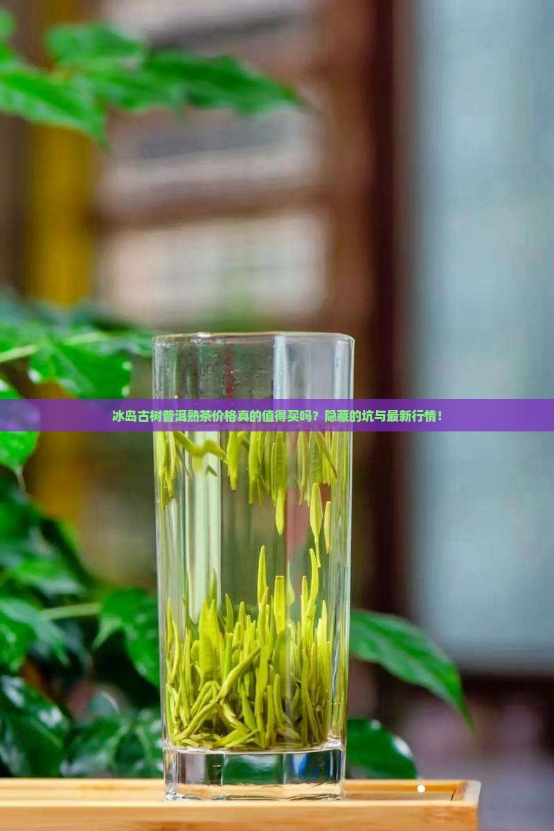 冰岛古树普洱熟茶价格