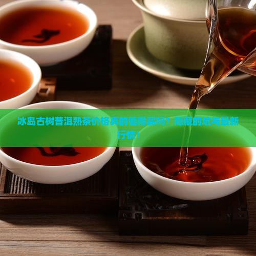 冰岛古树普洱熟茶价格