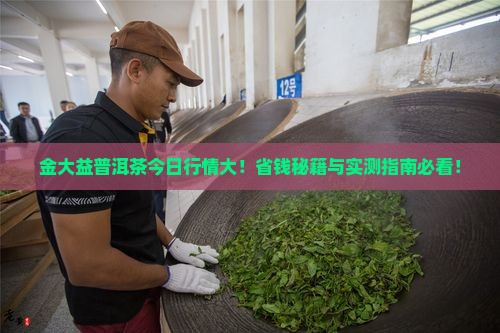 金大益普洱茶今天报价