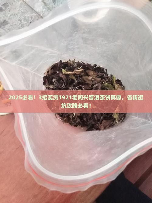 1921老同兴普洱茶饼