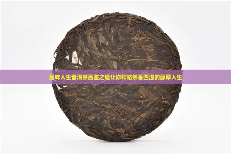 品味人生普洱茶