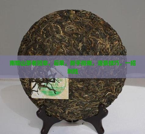 南糯山茶老班章