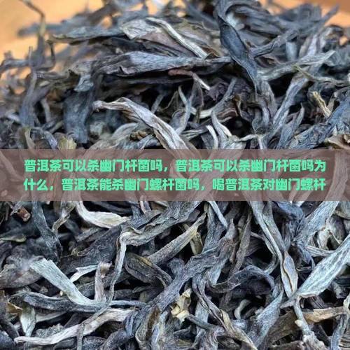 普洱茶可以杀幽门杆菌吗