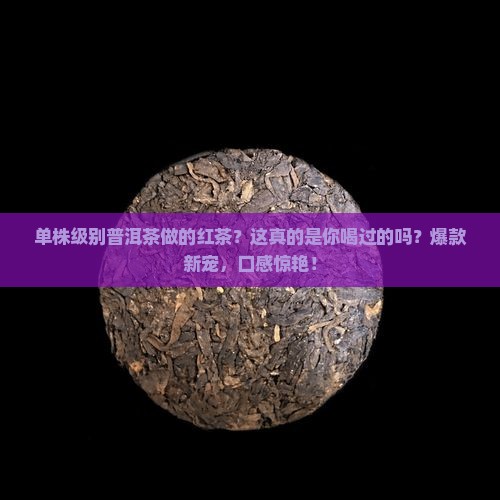 单株级别普洱茶做的红茶