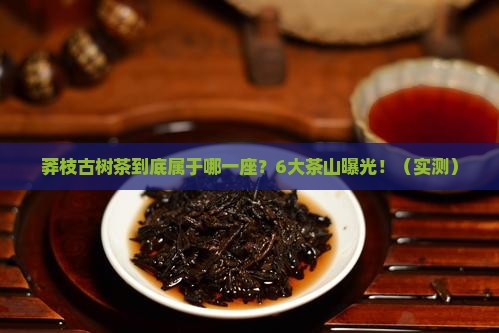 莽枝古树茶属于哪里古六大茶山书