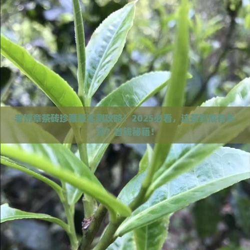 老班章茶砖珍藏版