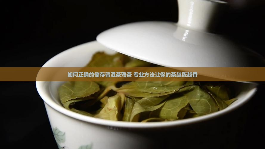 如何正确的储存普洱茶熟茶