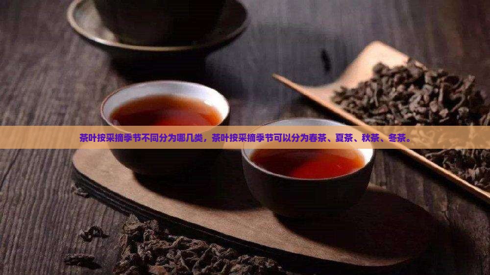 茶叶按采摘季节不同分为