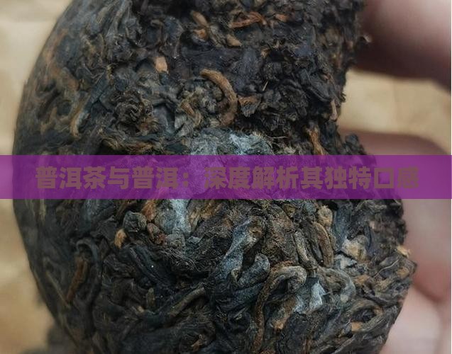 边茶和普洱茶口感