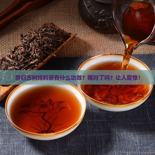 昔归古树纯料茶有什么功效