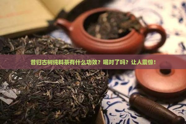 昔归古树纯料茶有什么功效
