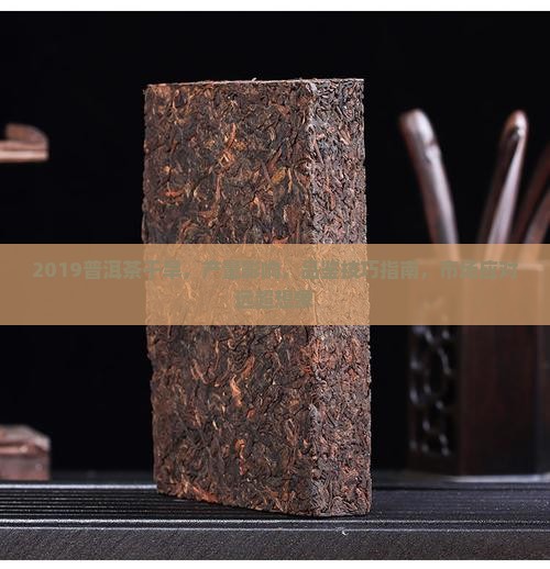 2019普洱茶干旱