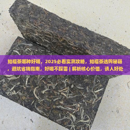 知福茶哪种好喝