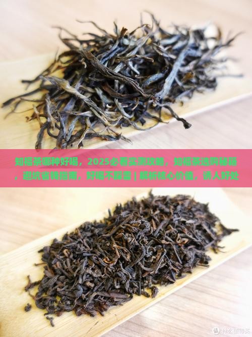 知福茶哪种好喝