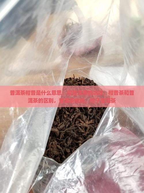 普洱茶柑普是什么意思