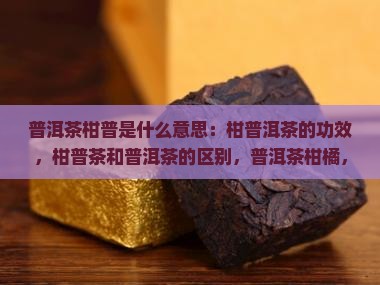 普洱茶柑普是什么意思