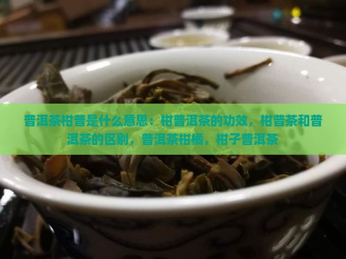 普洱茶柑普是什么意思