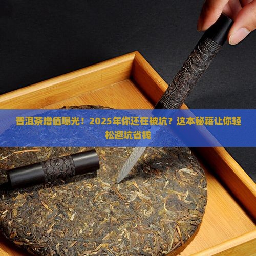 普洱茶增值证明