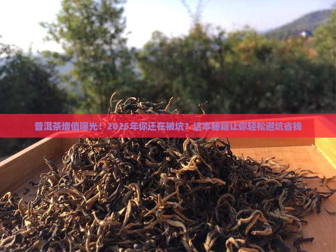 普洱茶增值证明