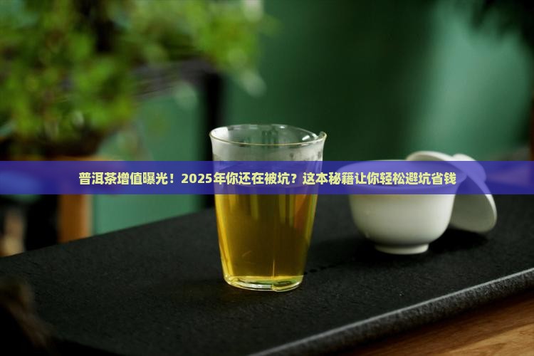普洱茶增值证明