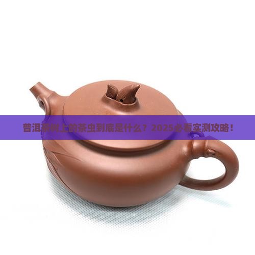 普洱茶树有茶虫