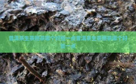 普洱茶生茶熟茶哪个好些一点