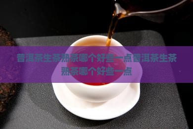 普洱茶生茶熟茶哪个好些一点