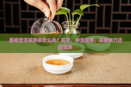 墨相普洱茶熟茶