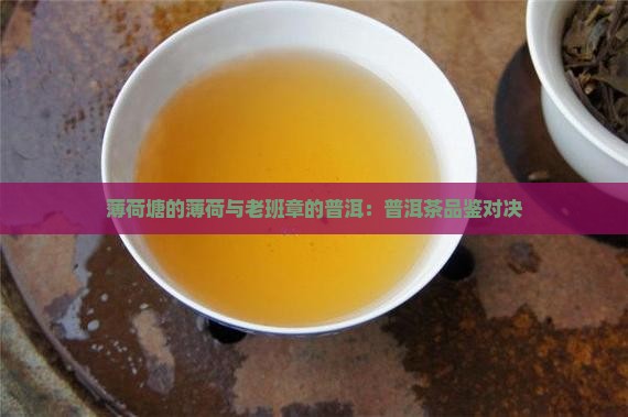 老班章vs薄荷塘