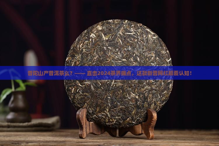 普陀山产普洱茶么