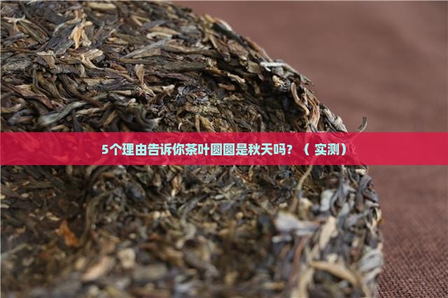 茶叶圆圆是秋天对不对