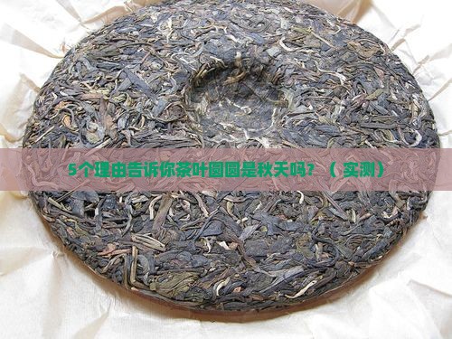 茶叶圆圆是秋天对不对