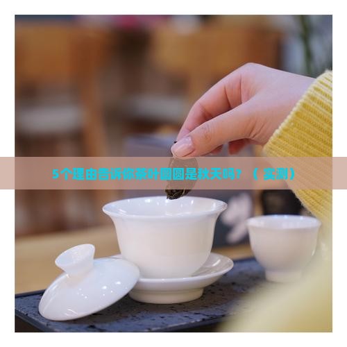 茶叶圆圆是秋天对不对