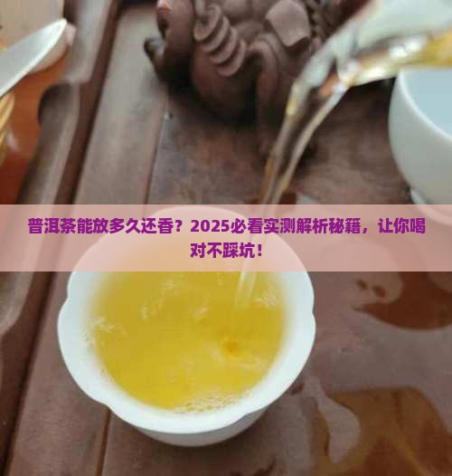 普洱茶保质期一般多久可以喝