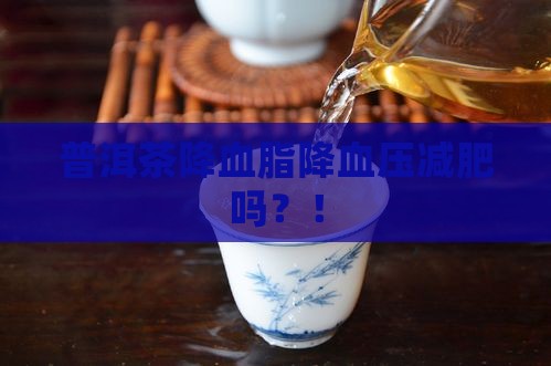 普洱茶降血脂降血压减肥吗