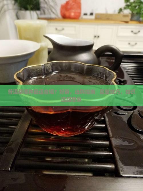 普洱茶哪种最适合喝