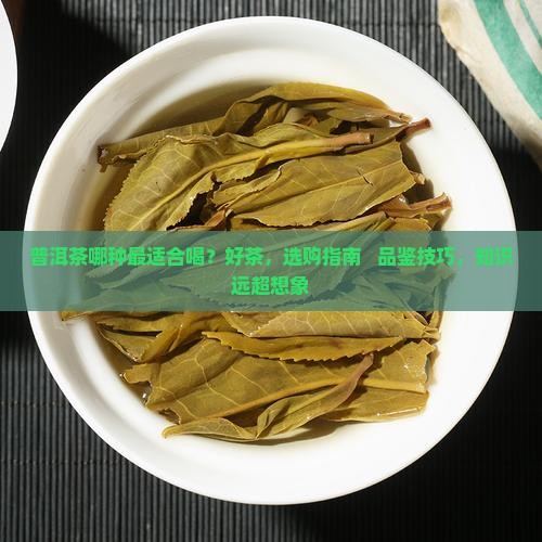 普洱茶哪种最适合喝